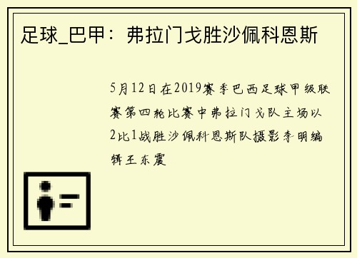 足球_巴甲：弗拉门戈胜沙佩科恩斯